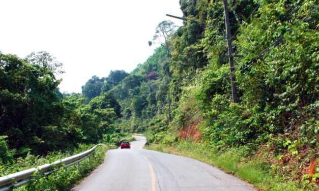 طرق تايلاند ثاني أكثر الطرق خطورة في العالم