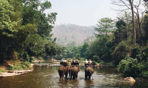 تايلند تهدف لاستقطاب 80 مليون سائح سنويا