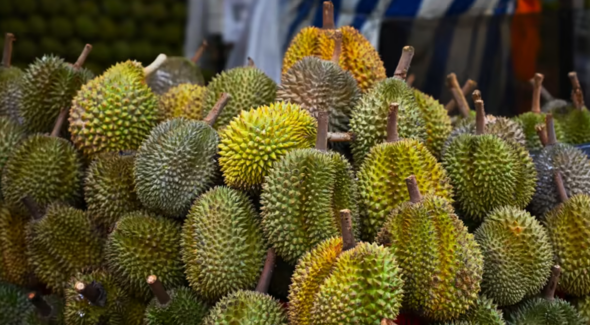 صفقات صخمه للدوريان بين تايلند والصين