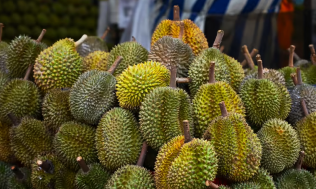 صفقات صخمه للدوريان بين تايلند والصين