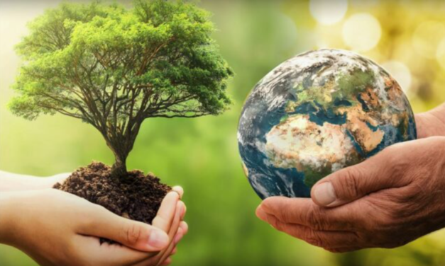 مدينه بانكوك تستعد للمشاركه في ساعه الارض