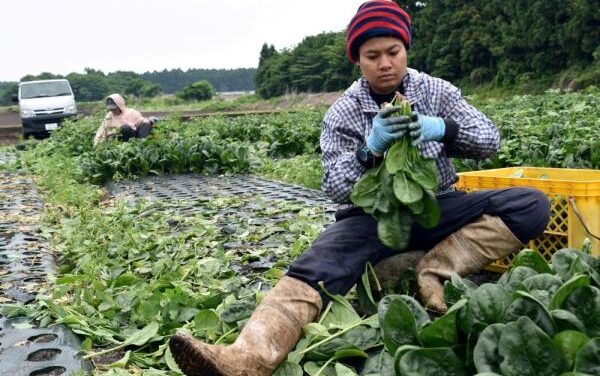 انخفاض معدل البطاله في تايلند