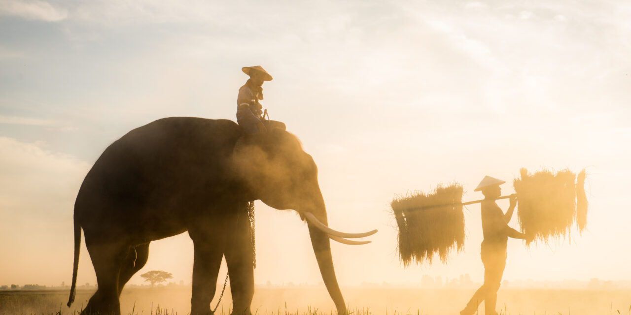 تسعى تايلند لجذب 30 مليون سائح الى نهايه 2023