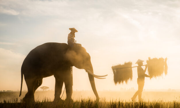 تسعى تايلند لجذب 30 مليون سائح الى نهايه 2023