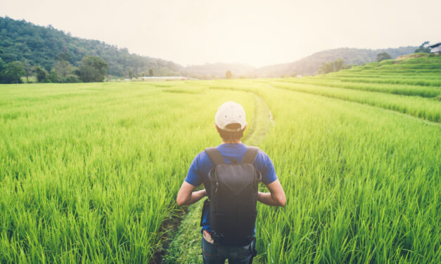 العصر الجديد للسياحة التايلنديه