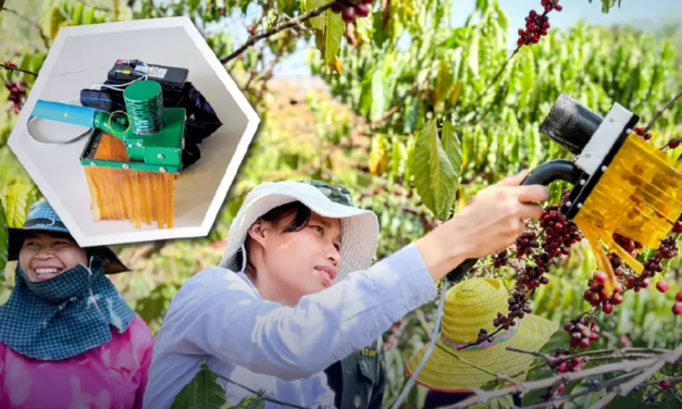 اختراع جهاز لحصاد القهوه في تايلند