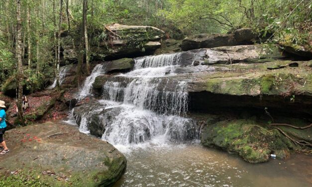فو كرادوينغ تشهد إقبالًا كبيرًا من السياح