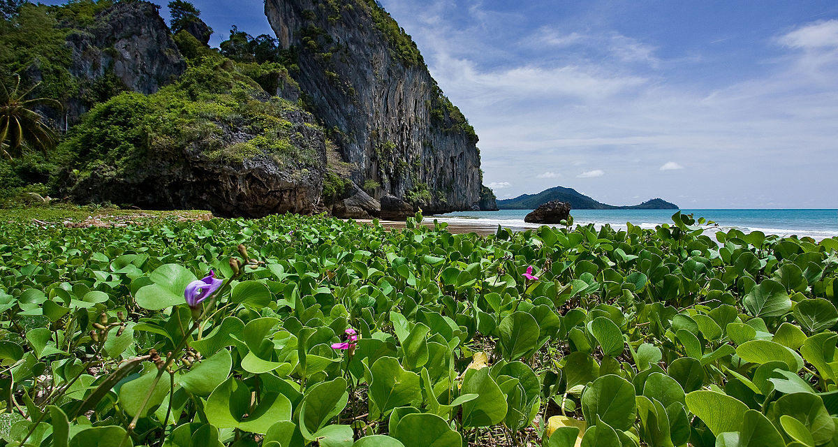  اكتشف شاطئ هات ياو