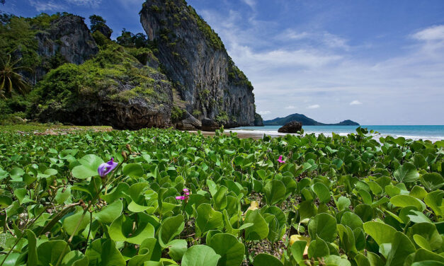  اكتشف شاطئ هات ياو