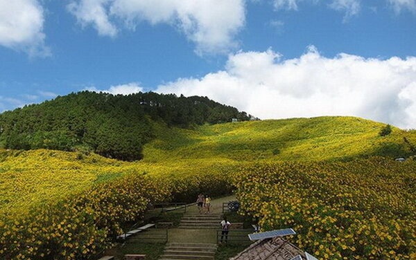  إعادة افتتاح ميدان زهور بوا تونغ