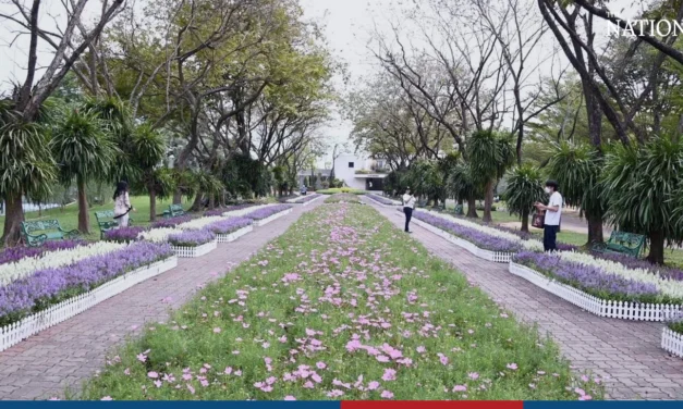 معرض جمال النباتات في بانكوك