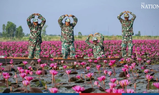 محمية ناخون ساوان تتحول للون الوردي