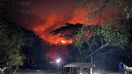 حرائق هائلة في غابات شانغ ماي