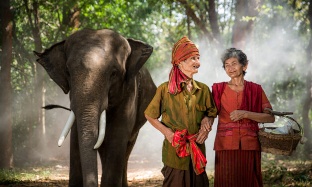 تايلند تستقبل 20 مليون سائح في الأشهر السبعة الأولى في 2024