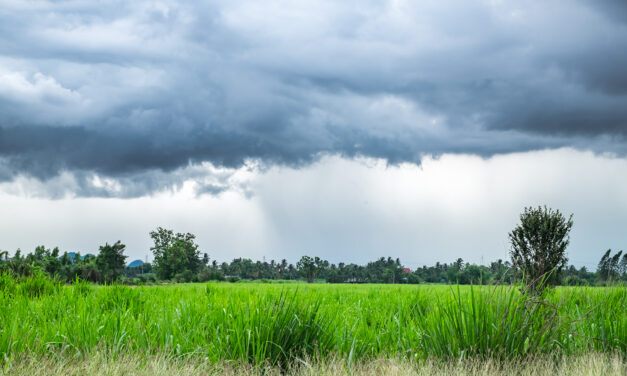 أفضل وقت لزيارة تايلند